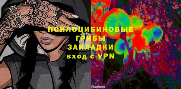 мдпв Арсеньев