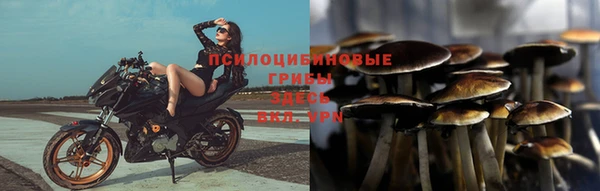 дмт Аркадак