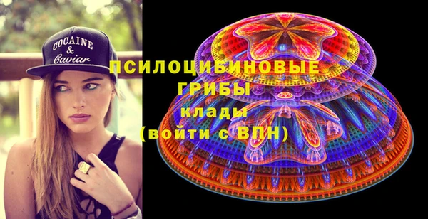 дмт Аркадак